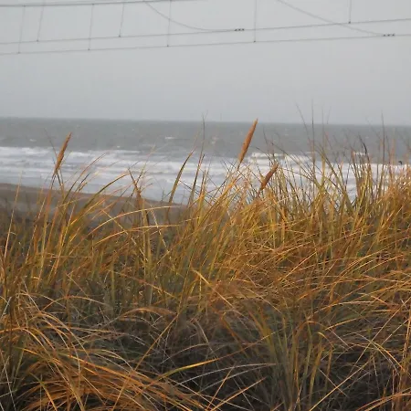 Sable D'o -vlak Aan De Zee- 5* Ostenda