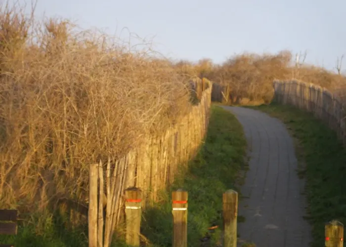 住宿加早餐酒店 Sable D'o -vlak Aan De Zee- 5*