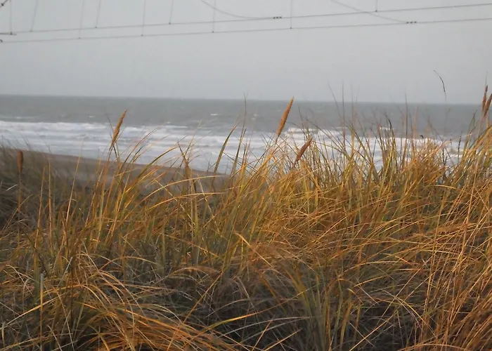 Sable D'o -vlak Aan De Zee- 5* Oostende