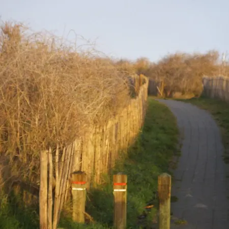 Готель типу 